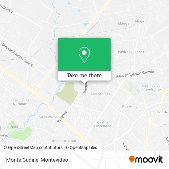 Monte Cudine map