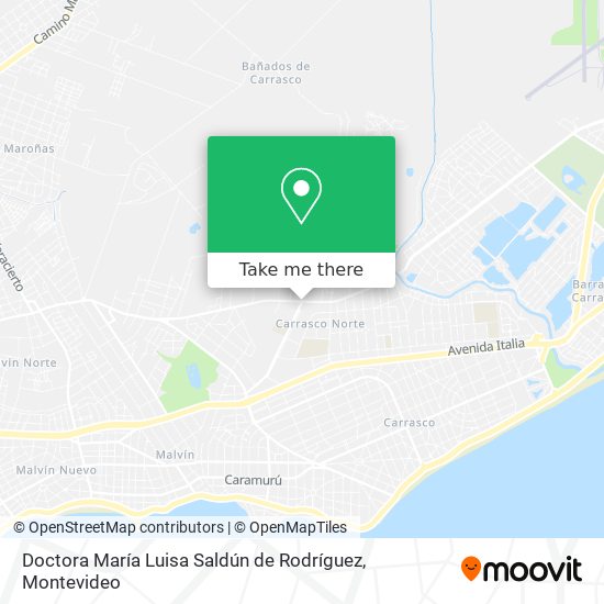 Doctora María Luisa Saldún de Rodríguez map