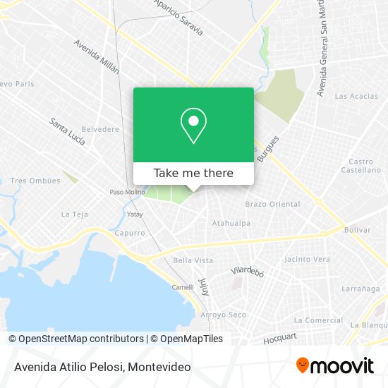 Avenida Atilio Pelosi map