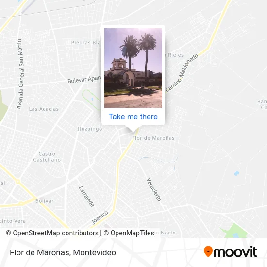 Flor de Maroñas map