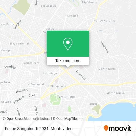 Felipe Sanguinetti 2931 map