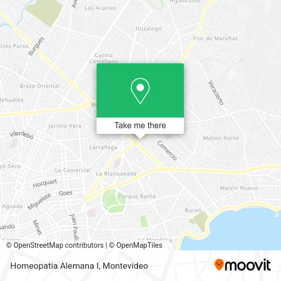 Mapa de Homeopatia Alemana I