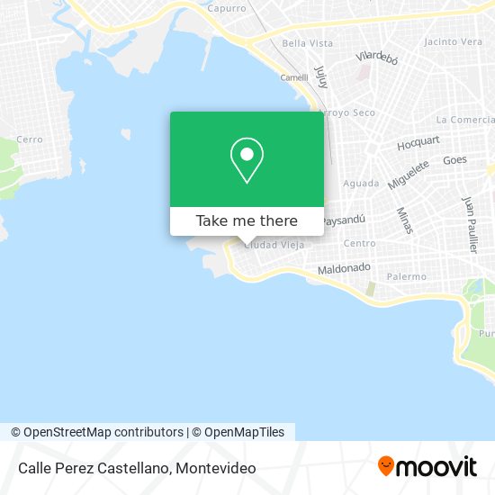 How to get to Calle Perez Castellano in Montevideo by Ómnibus?