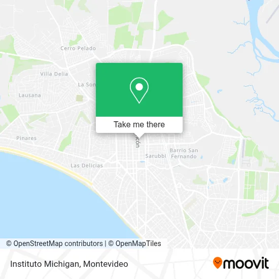 Instituto Michigan map