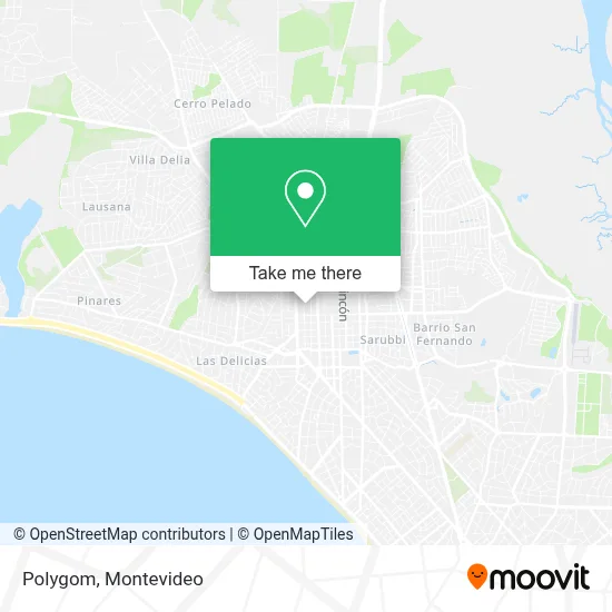 Polygom map
