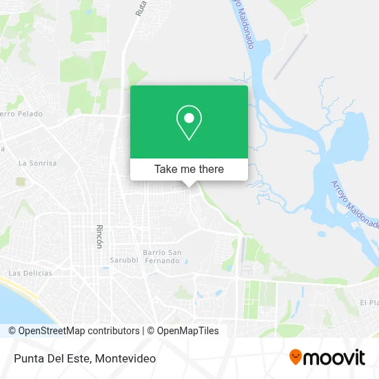 Punta Del Este map