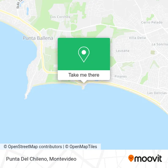 Punta Del Chileno map