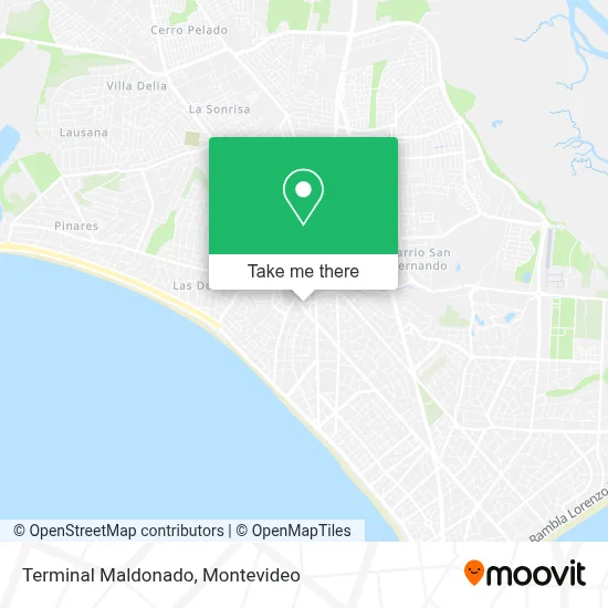 Terminal Maldonado map