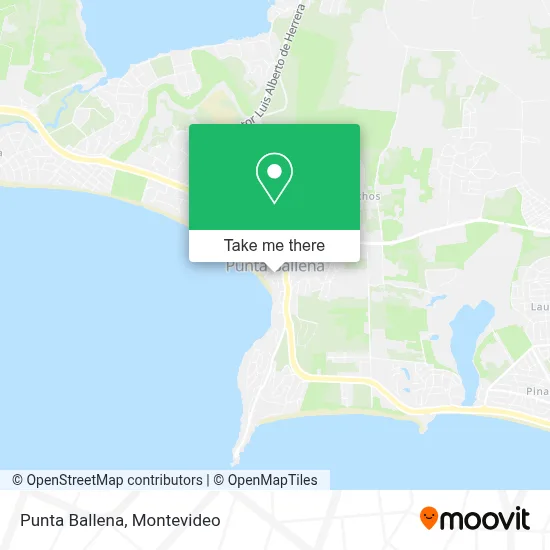 Punta Ballena map