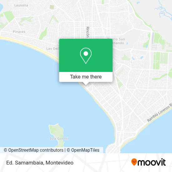 Ed. Samambaia map