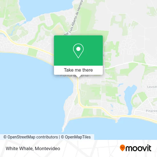 Balena Bianca map