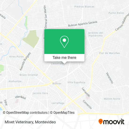 Mivet Veterinary map