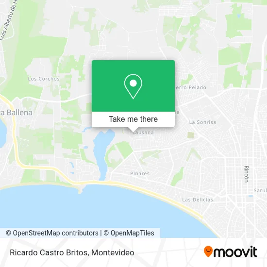 Ricardo Castro Britos map