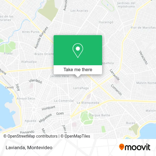 Lavianda map