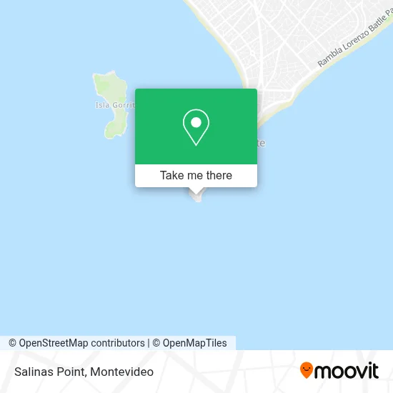Punta Salinas map