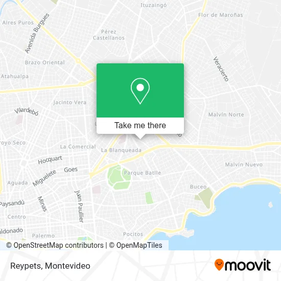 Reypets map