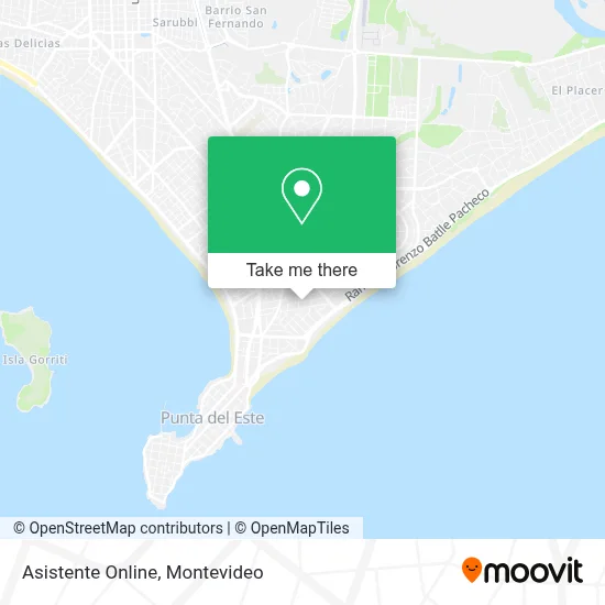Asistente Online map