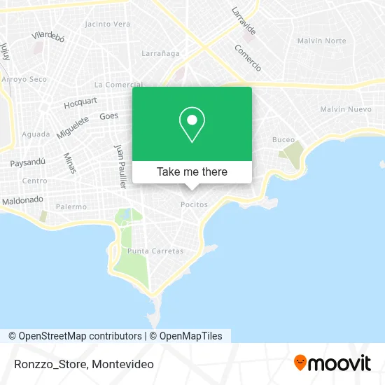 Ronzzo_Store map