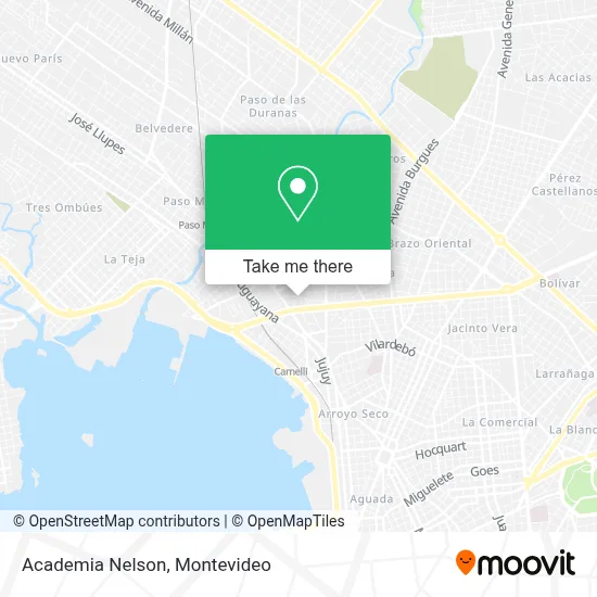 Academia Nelson map