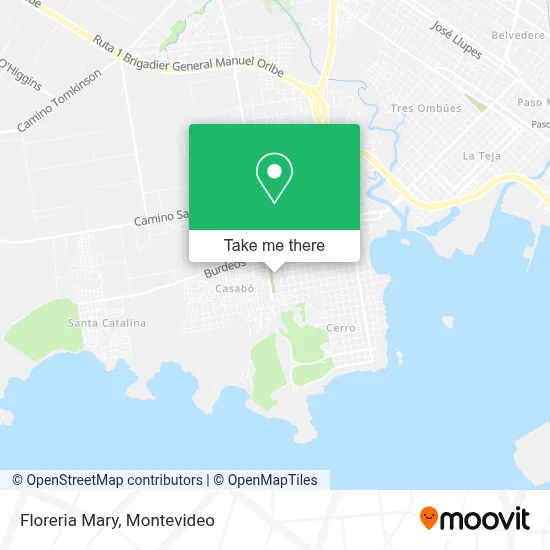 Floreria Mary map