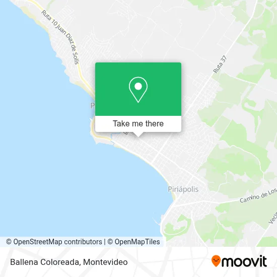 Ballena Coloreada map