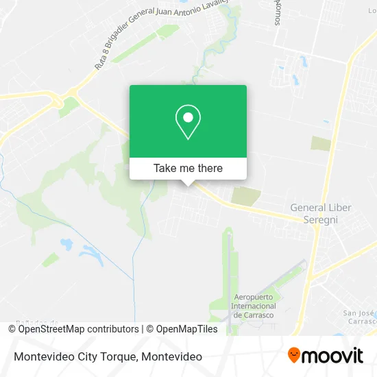 Montevideo City Torque map