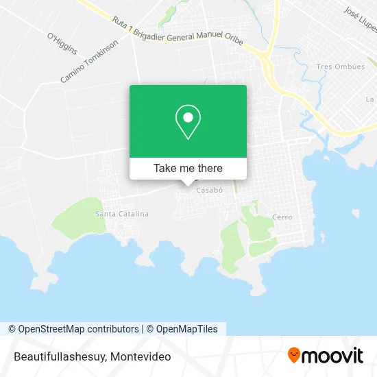 Beautifullashesuy map
