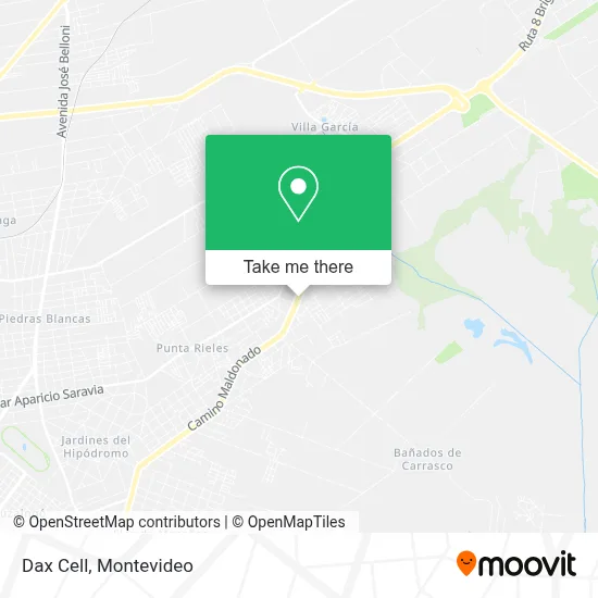 Dax Cell map