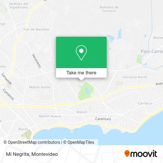 Mi Negrita map