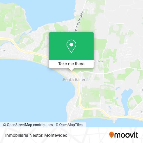 Inmobiliaria Nestor map