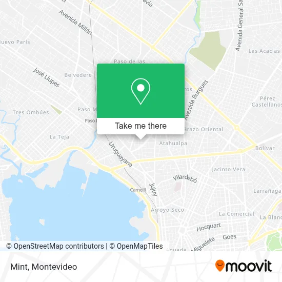 Mint map
