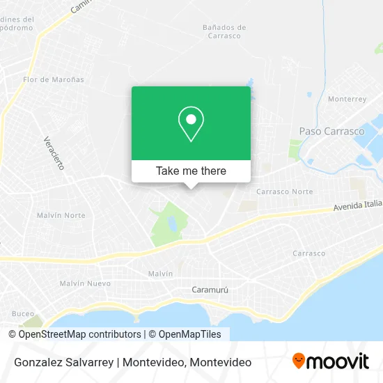 Gonzalez Salvarrey | Montevideo map