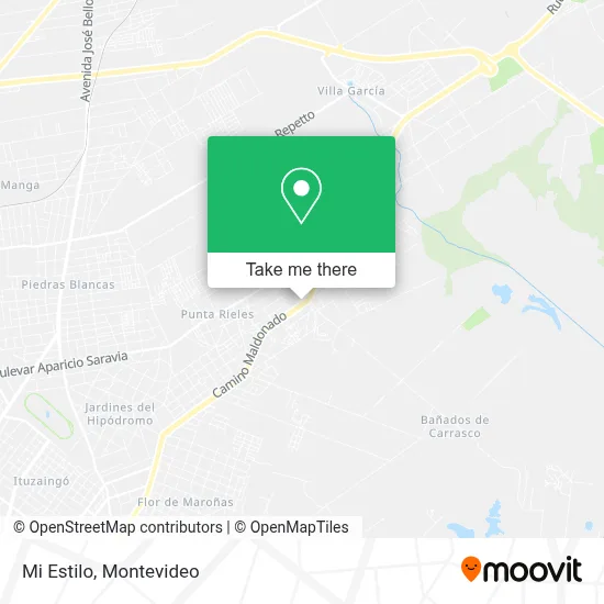 Mi Estilo map