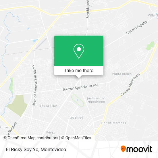 El Ricky Soy Yo map