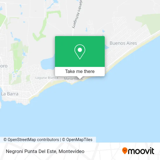 Negroni Punta Del Este map