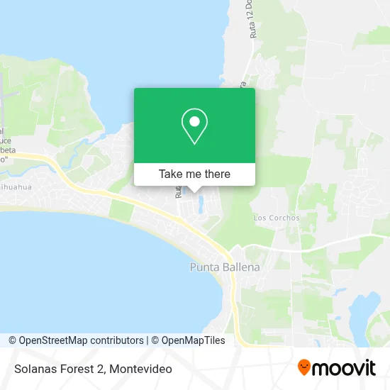 Solanas Forest 2 map