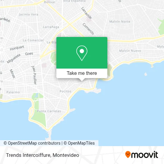 Trends Intercoiffure map
