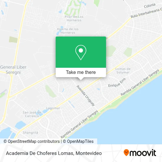 Academia De Choferes Lomas map