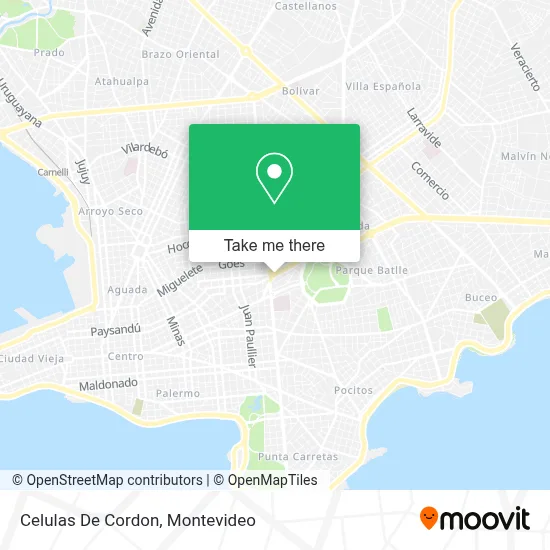 Celulas De Cordon map
