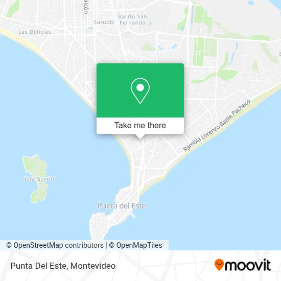 Punta Del Este map