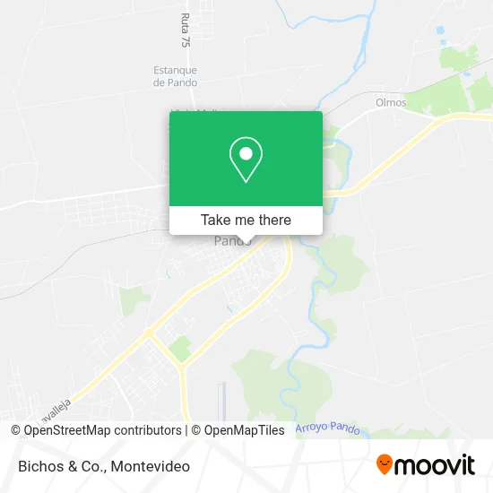 Bichos & Co. map