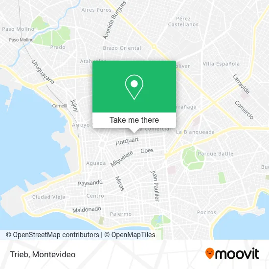 Trieb map