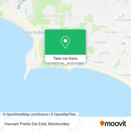 Hamam Punta Del Este map