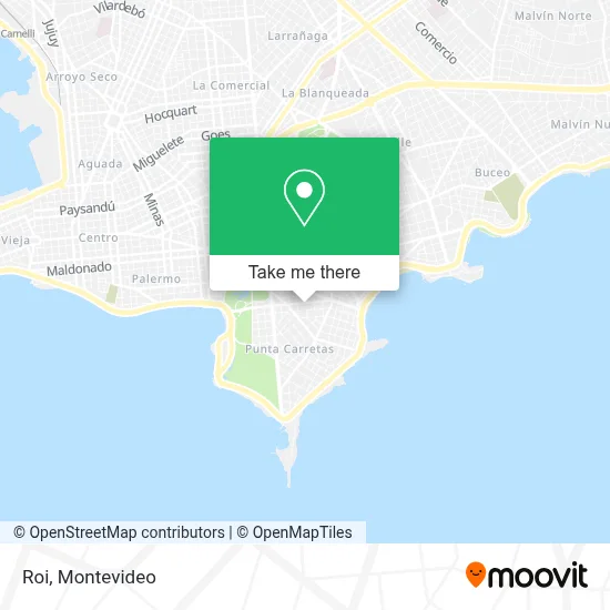Roi map
