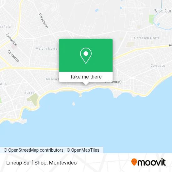 Lineup Surf Shop map