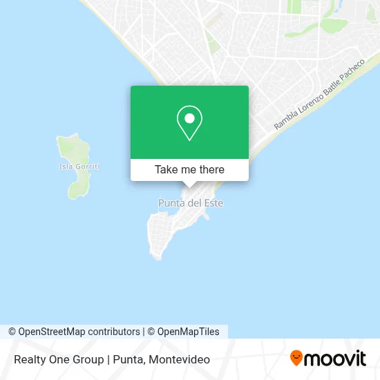 Realty One Group | Punta map
