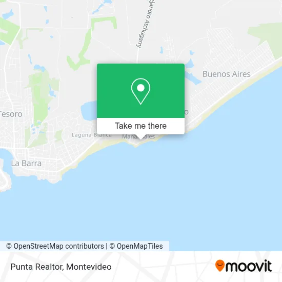 Punta Realtor map