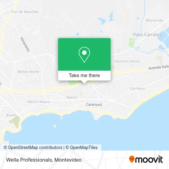 Wella Professionals map