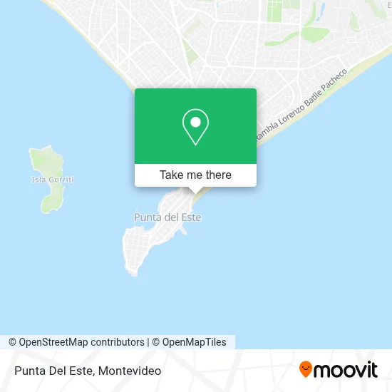 Punta Del Este map