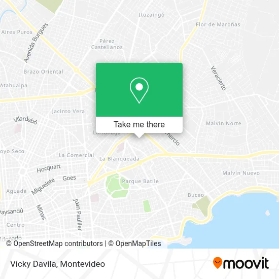 Vicky Davila map